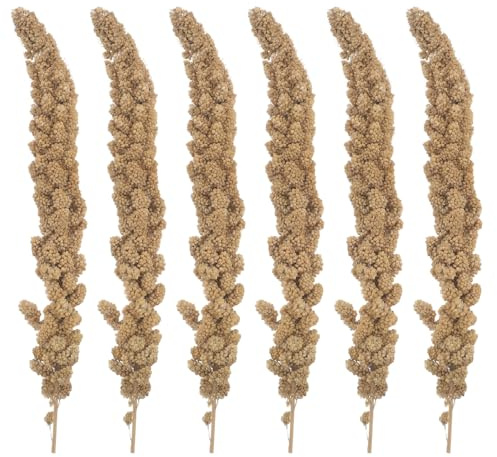 BESPORTBLE Hirse Leckerli für Papageien und Wellensittiche Natürlicher Vogelsnack 500g Getrocknete Hirse für Ziervögel Wie Nymphensittiche Unzertrennliche und Finken