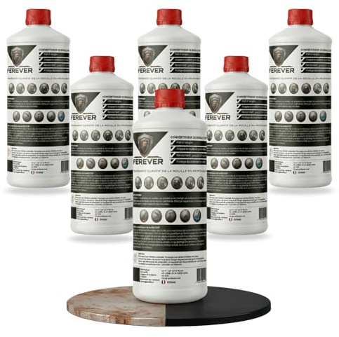 Convertisseur de Rouille Antirouille | Stabilisateur & Dérouillant | Double Action : Fixe & Bloque la Corrosion | Application Pinceau Rouleau Spray | Fer Carrosserie Outils Grilles Portails (6x 500ml)