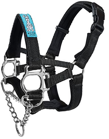 Big Dog Styles Head Collar, Black, Size 3
