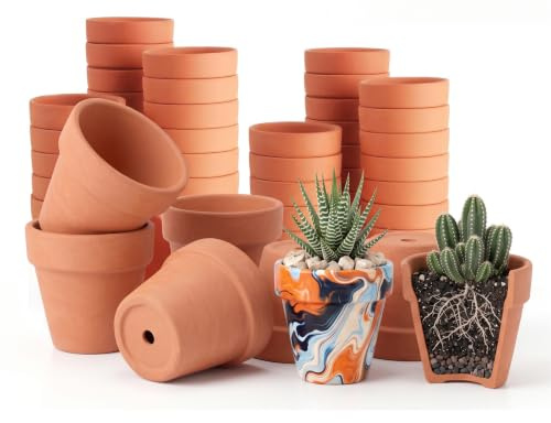 Qivra 30 Piezas Mini macetas de Barro de Terracota 2,5x2,5cm, Macetas Pequeñas de Terracota, Macetas Suculentas de Terracota, Macetas de Barro, macetas de Cultivo, Mini macetas para decoración