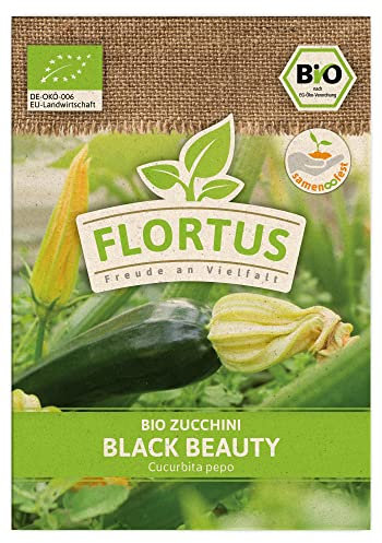 FLORTUS BIO Zucchini Black Beauty | Gemüsesamen | Zucchinisamen | Samen zur Anzucht für Garten, Balkon, Küche & Fensterbank