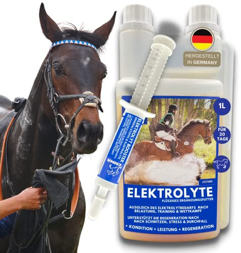 EMMA Elektrolyte Pferd I Elektrolyt Liquid & Paste Plus Vitamin b12 mit Kalium Natrium Calcium Magnesium Pferd I Electrolytes Pferde bei Durchfall Kotwasser Schwitzen Electrolyte Sport Pferde komplex