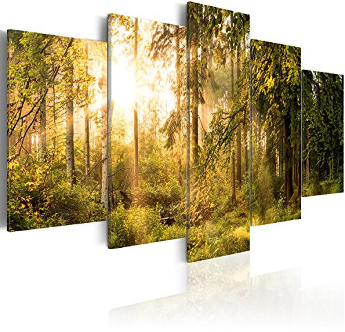 B&D XXL - Tableau Acoustique Paysage 225x112,5 cm 5 Parties - Décoration Murale Anti-Bruit Isolation Phonique Bureau Chambre Panneau Insonorisant Impression sur Toile - Arbre c-C-0033-b-o