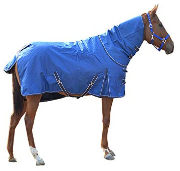 Suministros Estables Engrosamiento De La Manta del Caballo Tejido Resistente Al Desgarro A Prueba De Viento Y Lluvia,Azul(Size:145cm)