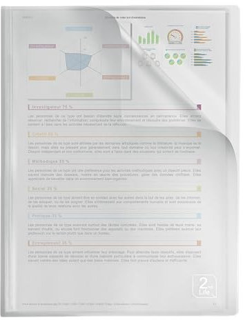 Elba 400059342 Dreieck-Selbstklebetaschen, aus PP