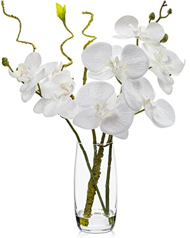 Oairse Artificial Orchid Flower in Vase Real Touch Fake Flower in Glass Vase with Faux Water White Silk Flowers Faux Phalaenopsis Flora Arrangement for Home Office Wedding Table Centerpiece Decoration