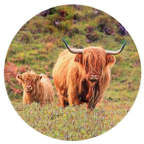 Lesser & Pavey Cow & Calf Trivet For Kitchen & Home | Ceramic British Designed Trivets For Kitchen Accessories | Heat Resistant Trivet Rest For All Type of Pots and Kitchen Utensils - Pan Pots