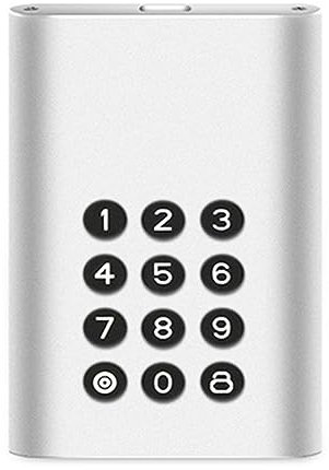 Lanlousy Disco duro externo portátil con encriptación USB-C, unidad de estado sólido cifrada de 128 GB, fácil de usar (plata)