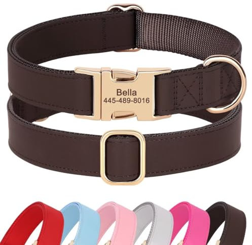 PET Artist personalisierte weiche Nylon Leder Hundehalsband stilvolle Elegante benutzerdefinierte Goldschnalle für kleine mittlere Hunde Kaffee S