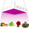 Bufccy LED Grow Lights, 1000W Full Spectrum, 96 PCS LED, Plant Growing Lamps for Indoor Plants, Vegetables and Flowers