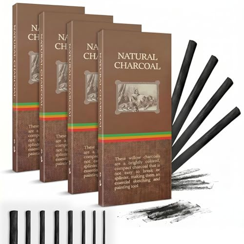 INNAL Lot de 72 Fusains en Osier Fusain 6 Tailles pour Croquis