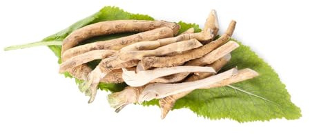 semi di rafano biologici - resistenti, giardino perenni balcone esotiche 500pcs