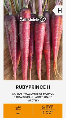 Zalia stotele | Karotten - RUBYPRINCE H samen| Gemüsesamen | Pflanze samen | Eine frühe, ertragreiche und krankheitsresistente Hybride | Karottensamen | Gardensamen | 1 Pack