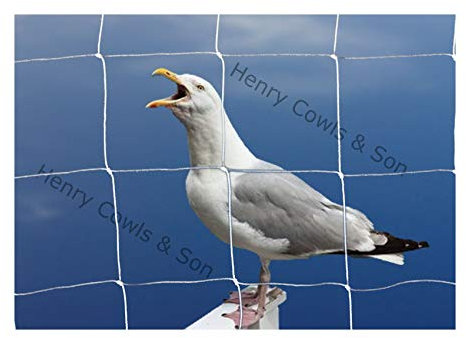 Bird Netting For the Garden 5m x 5m 75mm Anti Seagull Knotted 3 Mesh Heavy Duty White Net