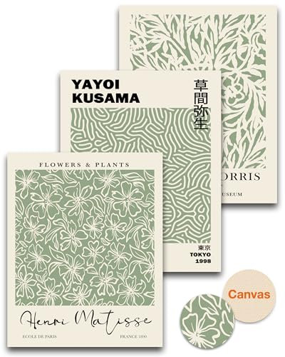 HesenDot Unframed Matisse Sage Green Wall Art Poster,Plants Botanical Canvas Wall Decor,30x40CM Poster Prints,Minimalist Classic Home Decor for Living Room Bedroom Bathroom Office,Set of 3