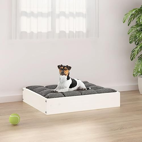 QUAHEAS Dog Bed White Solid Pine Wood 51.5 x 44 x 9 cm, Robust Pet Basket, Non-Slip Sofa and Sleeping Place for Dogs, Ideal as a Cuddly Lounger and Outdoor Travel Mat