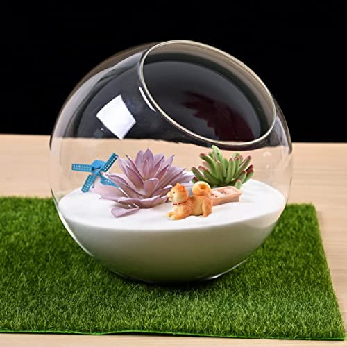 SPORTARC Vase en verre paysage pour plantes succulentes Terrarium Pot de fleurs (récipient uniquement)