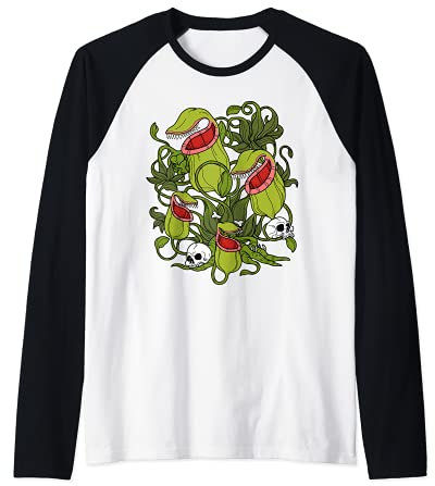 Rote Kannenpflanze Sarracenia Fleischfressende Pflanzen Raglan