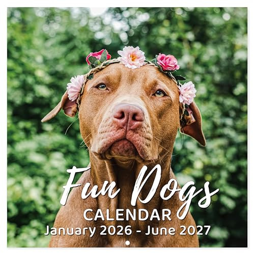 2026-2027 Calendar - 18-Month Wall Calendar 2026-2027 Funny Dog Calendars from Jul. 2026 - Dec. 2027, Wall Calendar with Unruled Blocks, Holidays, 12 x 24(open), Fun Wall Calendars Gag Gifts - Funny Dog