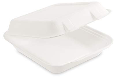 50x Bio Box Take Away weiß 222 x 200 x 67 mm aus Zuckerrohr | nachhaltige To Go Lunchbox Essensbox Bentobox | Lebensmittel Behälter Einweg | kompostierbar auslaufsicher