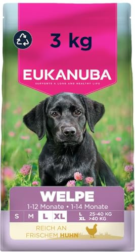 EUKANUBA Cibo secco per Cuccioli con pollo fresco per razze di taglia grande - Alimento secco premium per Cani giovani, 3 kg