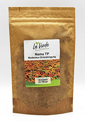 Nema TP 60 Gramm Samen - Bodenkur Orange