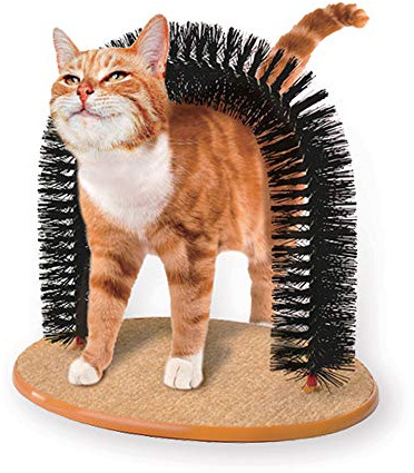 D-Mail Juego Cepillo con rascador para Gatos