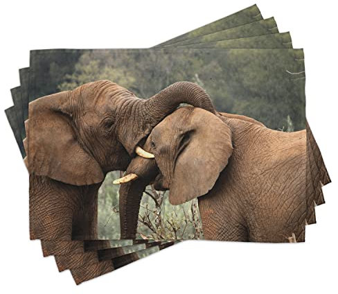 ABAKUHAUS Safari Platzmatten, Zwei Wilde Savannah-Elefanten, die nettes Natur-Ikonen-südafrikanisches Tier-Foto wringen, Waschbare Stoff Esszimmer Küche Tischdekorations Digitaldruck, Braun Grün