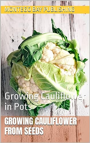 Growing Cauliflower From Seeds: Growing Cauliflower in Pots (Urban Vegetable Gardening)