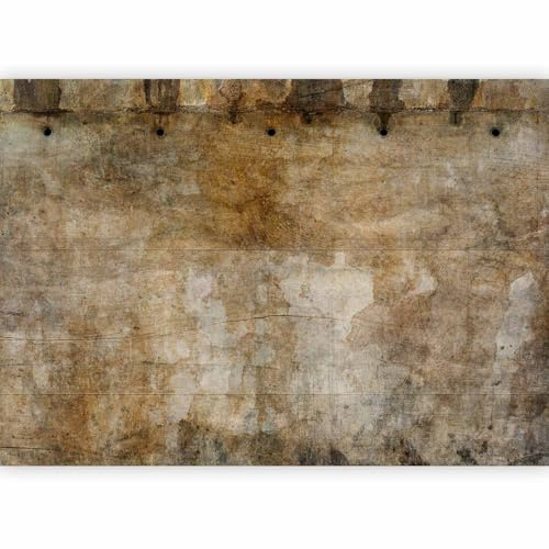 murando - Papier peint panoramique artistique 450x315 cm - Revêtement mural décoration pour chambre salon cuisine - Design unique et moderne - Marron gris beige - f-C-10022-a-a