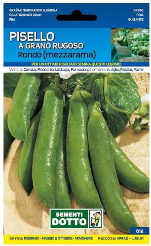 Sicignano | Semi Pisello a Grano Rugoso Rondo - Legume Ricco di Vitamine, Busta Extra - 4 Confezioni da 100g, Raccolta Primaverile-Estate