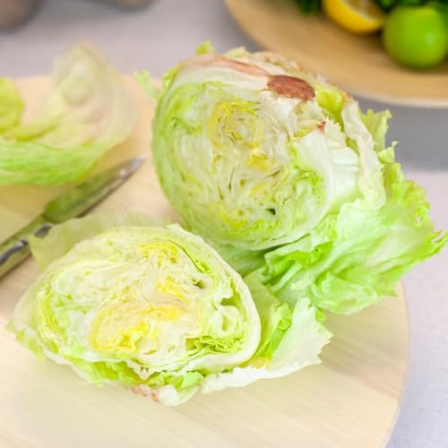 semillas de lechuga iceberg orgánicas - lechuga - jardín lechuga iceberg fresca resistentes para el jardín Compre 200pcs
