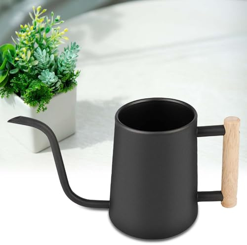 1 l inomhusvattenkanna, svart rostfritt stål vattenkanna 1 l, vattenkanna inomhusväxter med lång pip och bekvämt trähandtag, vattenkanna 1 l för att vattna små krukväxter och krukväxter