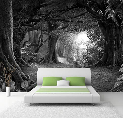 Vlies Tapete Poster XXL Fototapete Natur Wald Urwald Farbe schwarz weiß, Größe 300 x 150 cm