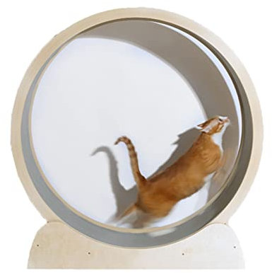 Katzenlaufrad Kleines großes Katzenlaufrad, Laufband aus Holz für Katzenübungen mit Teppichboden, Gewichtsverlustgerät für Katzen, einfach zu montieren (Größe: XL)