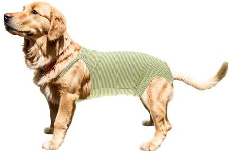 CAPASTEC Pañales para Perros 1Pc Reutilizables con Correa Ajustable