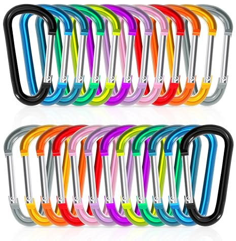 Zalava Aluminum Carabiner Clip D Ring, 24PC Keychain Clips Spring Snap Hook,Small Carabiners Set for Outdoor Camping Fishing Hiking Car Keychain