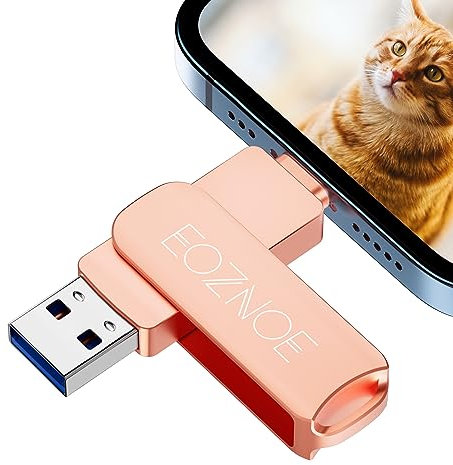 EOZNOE USB Stick 256GB, Externer Speicherstick zum Speichern von mehr Fotos und Videos. USB Foto Stick aus Metall für iPhone, High-Speed Kompatibel mit iPhone/Android/PC