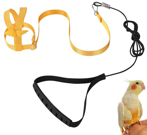 Imbracatura per pappagallo regolabile per animali domestici e uccelli guinzaglio per attività all'aria aperta corda da addestramento cinghia elastica anti-morso per pappagalli cacatos ara