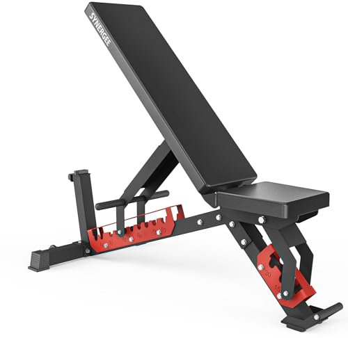 Synergee Adjustable Wing Back Workout Bench. Weight Bench for Dumbbell & Barbell Press Exercises & Workouts. Great for Commercial, Garage and Home Gym.