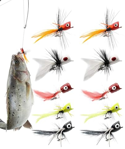 Wimnqie Leurres de Mouche | 10 Poppers de Pêche Sèche Appâts à Action de pour Black Bass - Appâts Réalistes Hameçons Secs Immergés pour Truites Saumons Poissons De Soleil Rivières Peu Profondes