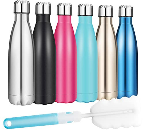Insulated Water Bottle, Vacuum Stainless Steel & Vacuum Flask Comes with a Cleaning Brush -500ml Stainless Steel Vacuum Bottle, Double Wall Design, Standard Mouth, for Outdoor Sports