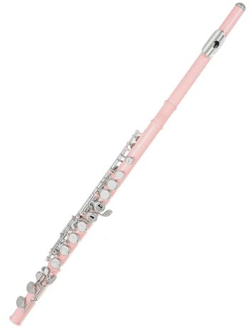 Flötenset Pink Flute 16-Loch C-Stimminstrument mit vernickelter Oberfläche und robustem Metallgehäuse