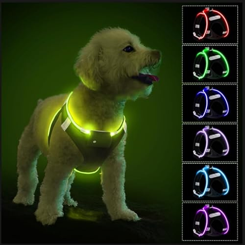 Pettorina per cani con LED ricaricabile, pettorina riflettente impermeabile che si illumina al buio, imbracatura lampeggiante per cuccioli di piccola e media taglia che camminano nella luce, nero-XS
