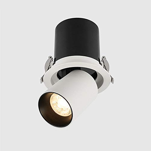 Focos LED de Techo, focos empotrados, luminarias de Techo direccionales giratorias, lámpara de Acento con Foco de 10 W, iluminación de galería Ajustable de Arriba a Abajo.