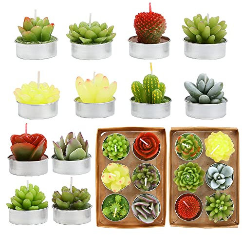 SSleng 12pcs Cactus Tealight Candles, Handmade Delicate Succulent Cactus Candles Perfect for Birthday Party ,Wedding, Spa, Home Decor