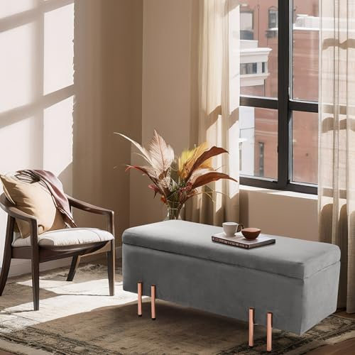 [en.casa] Ottomana con Seduta Imbottita Cassapanca Fondoletto Poggiapiedi per Camera da Letto Panca Contenitore per Ingresso Soggiorno 100x40x42 cm Velluto Grigio