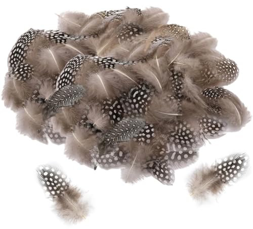 Vimmvid 200 Stück Perlhuhnfedern Zum Basteln, Wachteleier Deko, 2 Verschiedene Größen Federn Basteln Und Federn Braun, Bastelfedern Kann Für Hochzeitsdekoration Eierdekoration Etc Verwendet Werden