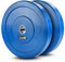 Lex Quinta 2x20kg BLAU - Bumper Plate - Vollgummi Hantelscheiben 50mm