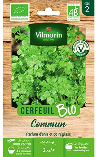 Cerfeuil Commun - BIO